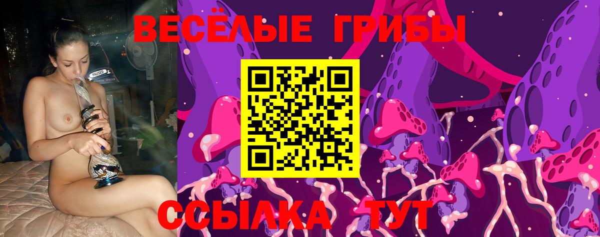 Псилоцибиновые грибы мицелий  Вход с VPN  Ростов Великий  Псилоцибиновые грибы Cubensis 