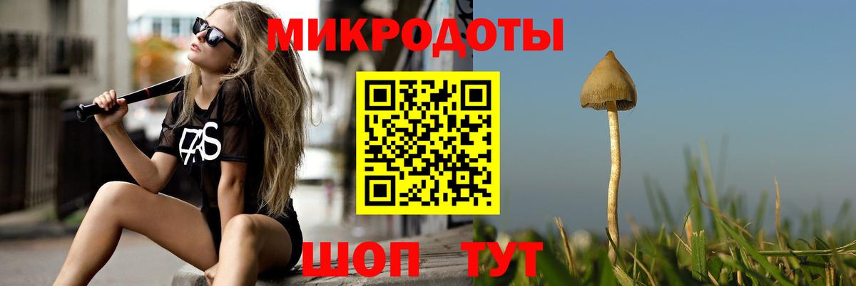 Псилоцибиновые грибы мицелий Ростов Великий